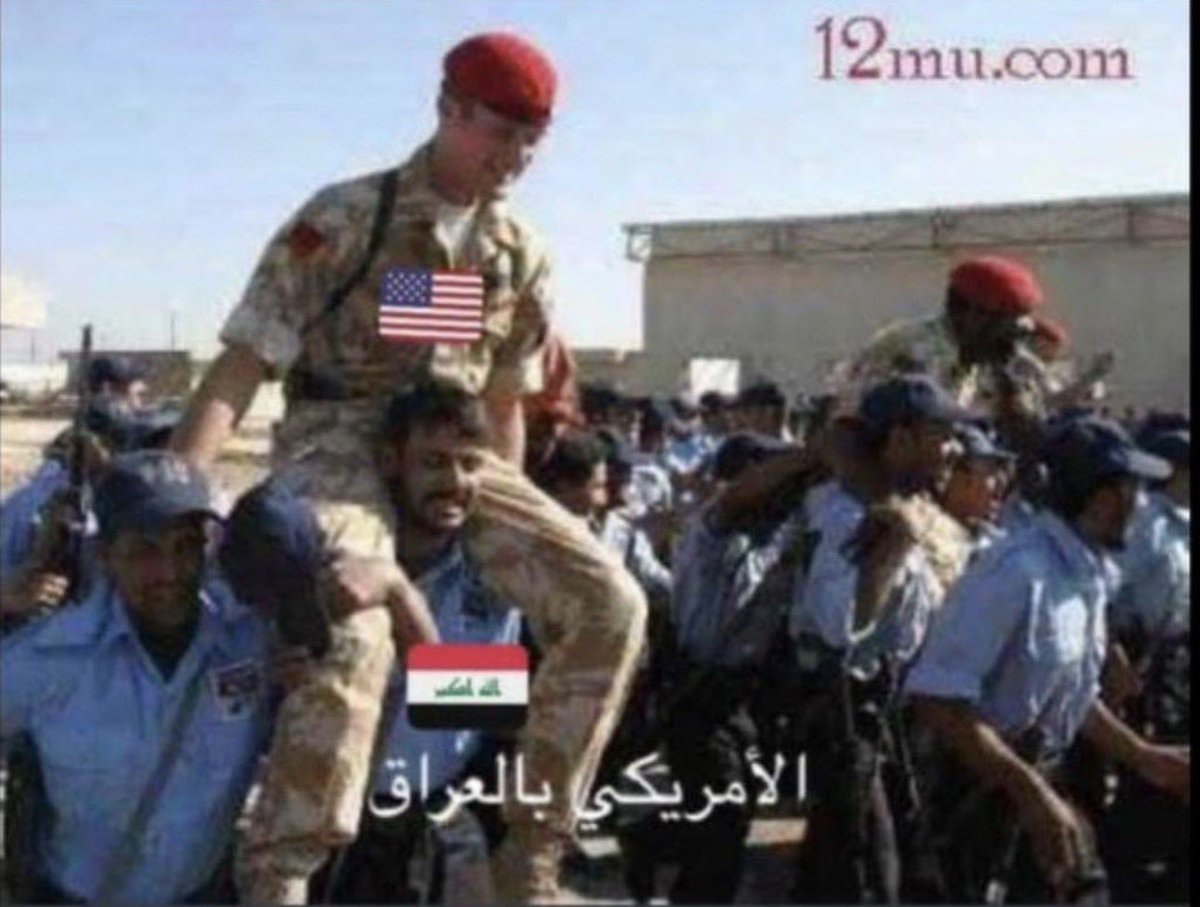 ハマド先生 tweet media