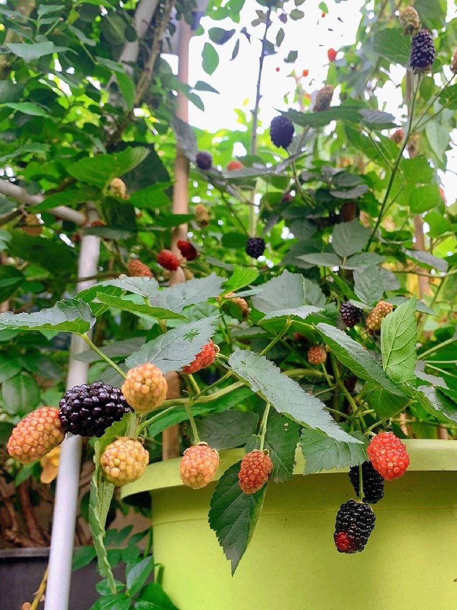 Constant Success tweet media