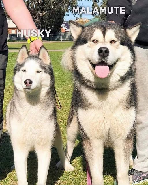 Logical Veteran tweet media