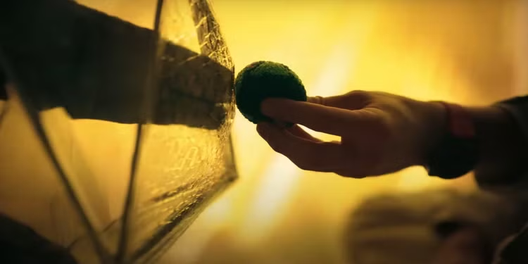 Manuel São Bento tweet media