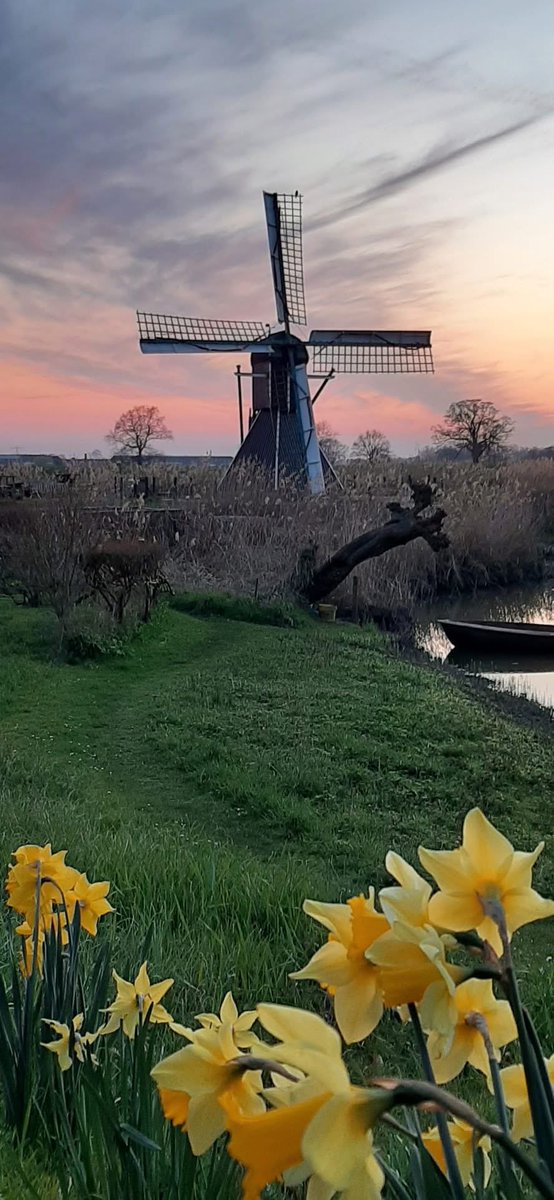 John van de Velde tweet media