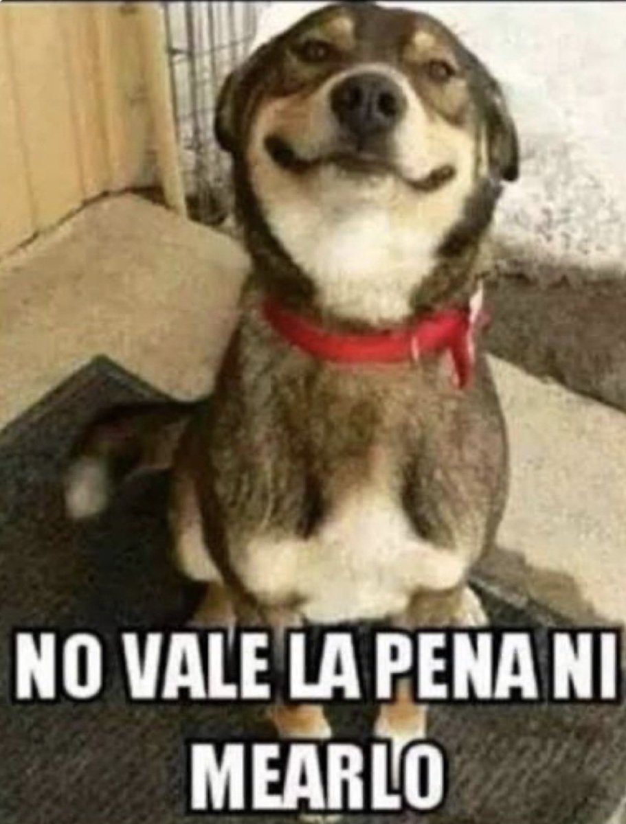 M. Scott tweet media