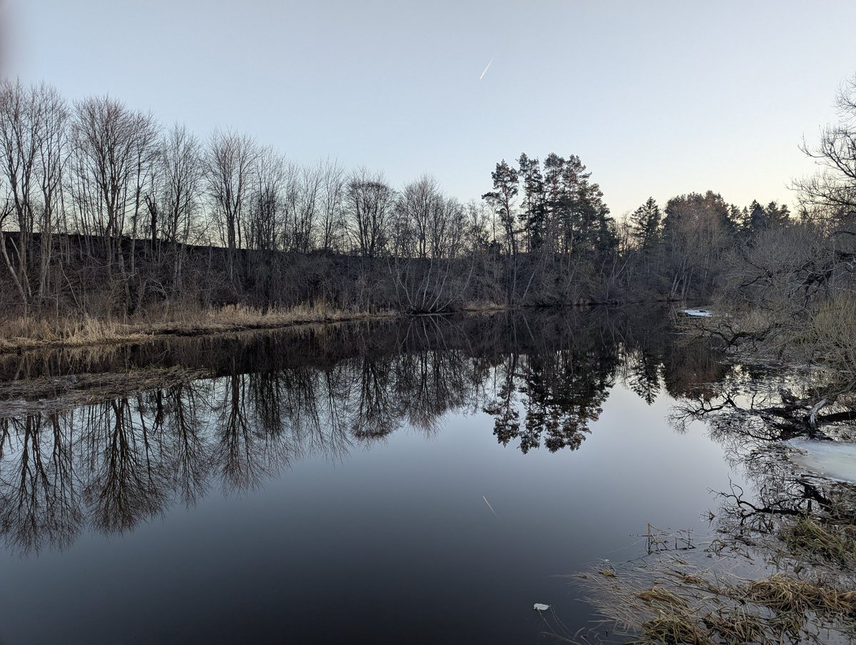 Viesturs Radovics tweet media