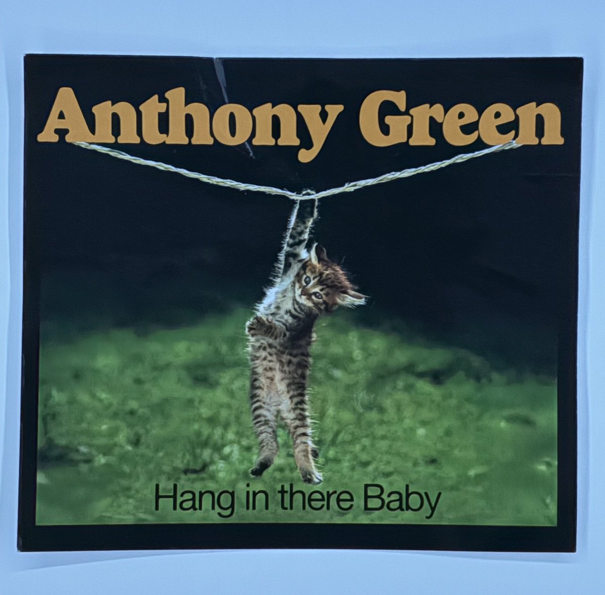 reg IS BACK tweet media