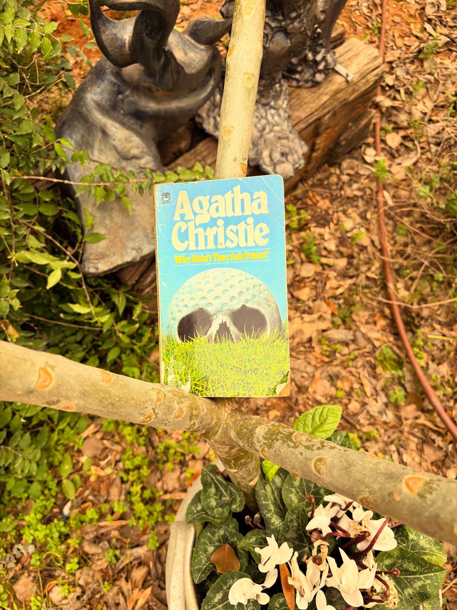 Little Grey Book tweet media