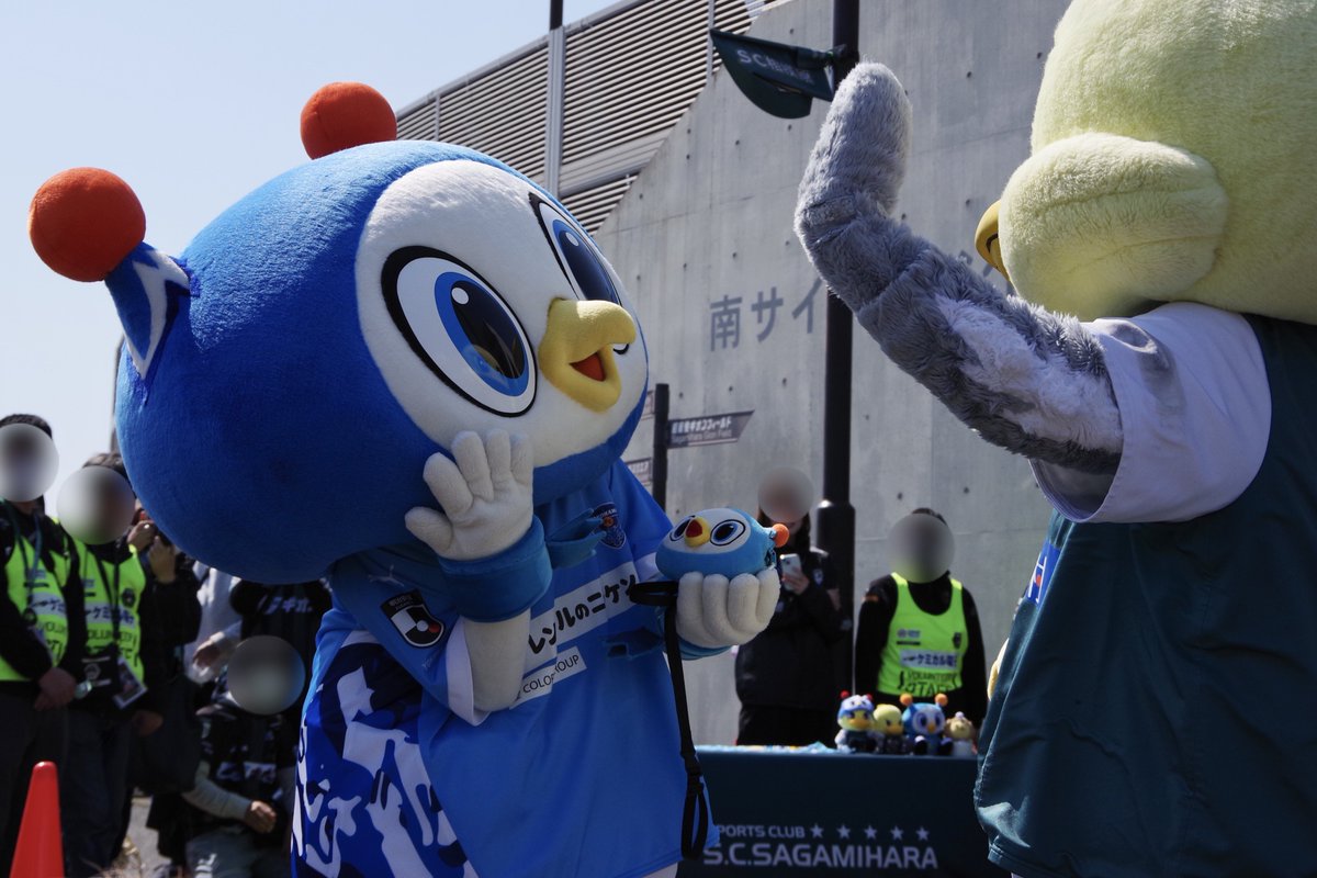 ハルノリ ฅʕ´•ᴥ•`ʔฅ ワーイ! tweet media