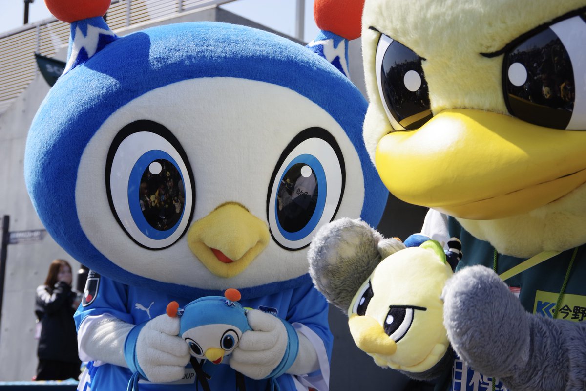 ハルノリ ฅʕ´•ᴥ•`ʔฅ ワーイ! tweet media