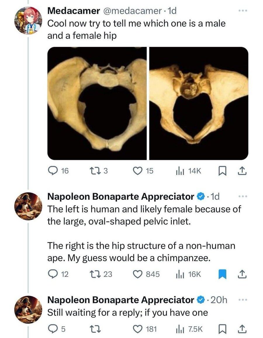 Real Ass Wigger tweet media