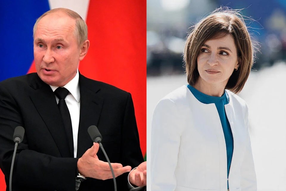 Daractenus tweet media