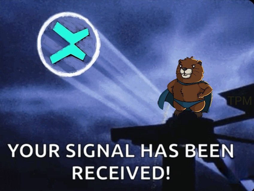 ནρო 🦫 tweet media