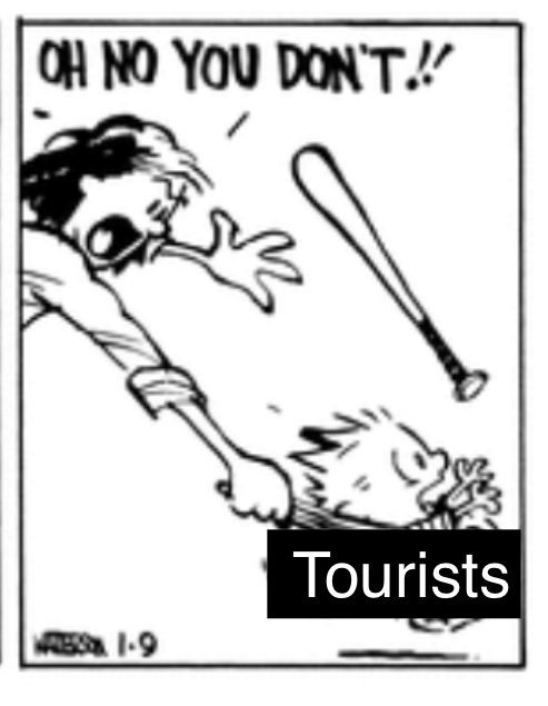 The Cat who see weird tweets tweet media