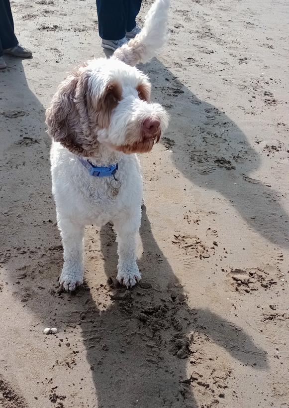 Mark Barden 🇪🇺 tweet media