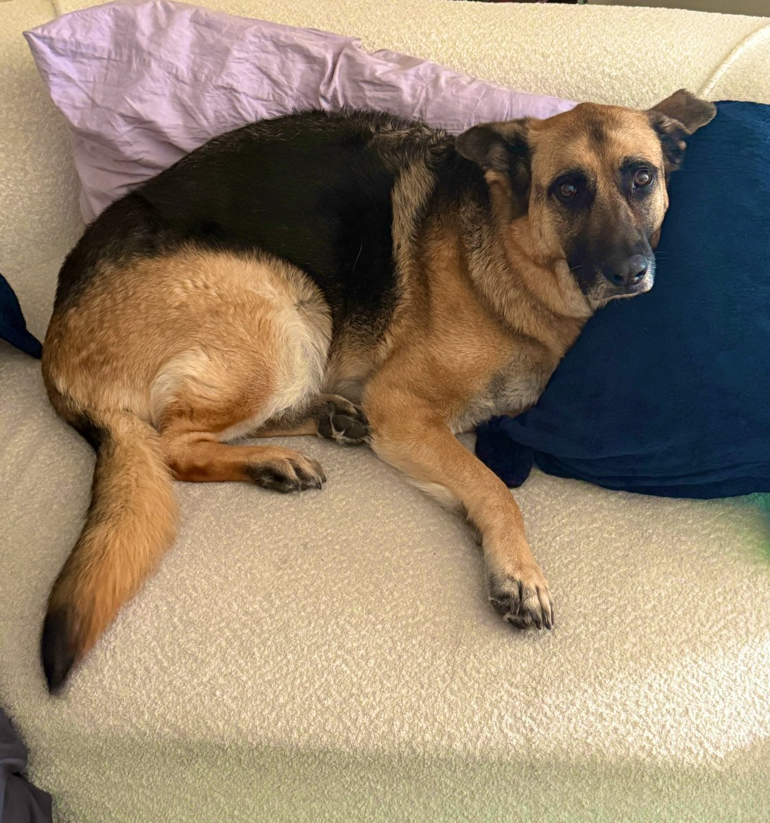 🌻Jon Eimer tweet media