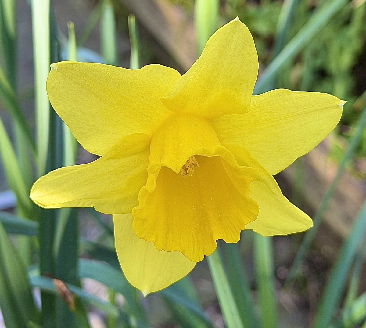 drummerthethird tweet media