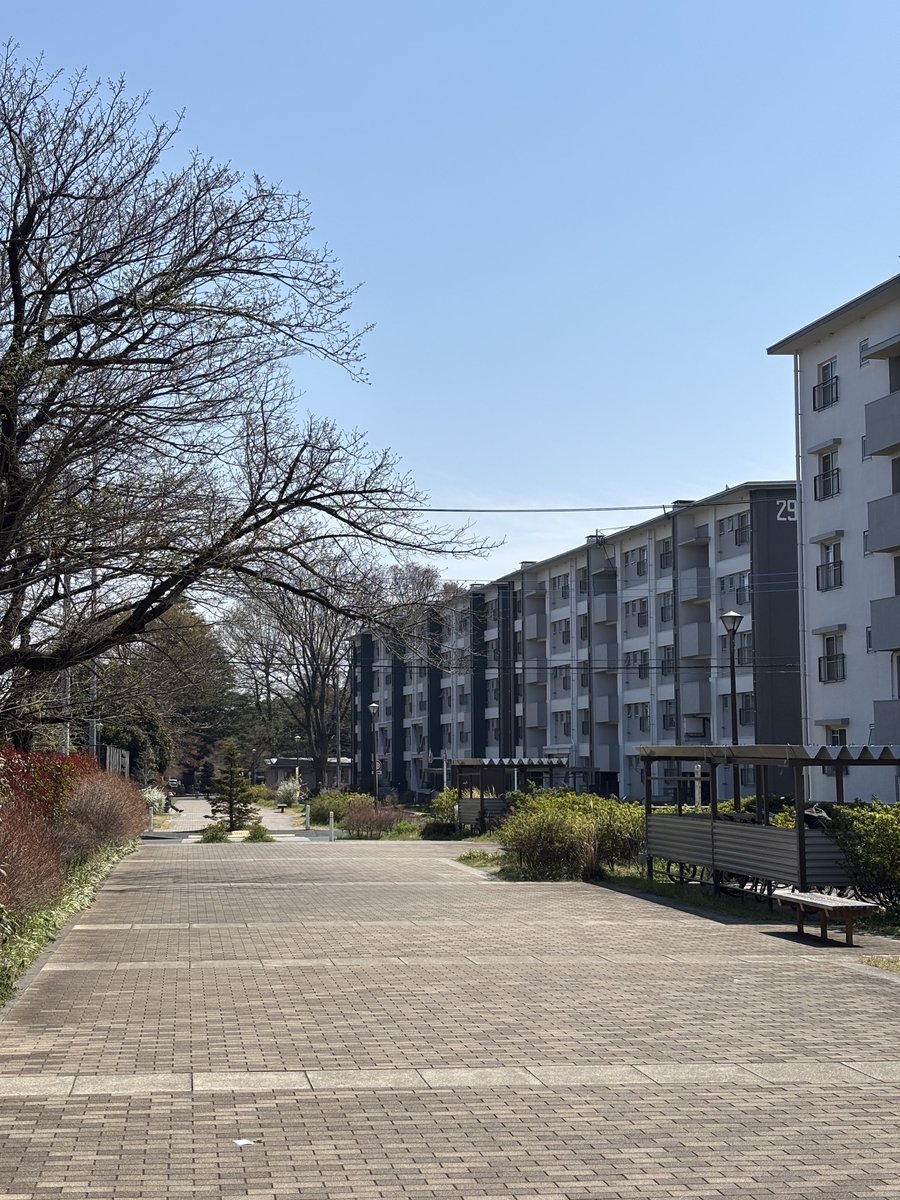 公団ウォーカー 照井啓太 tweet media