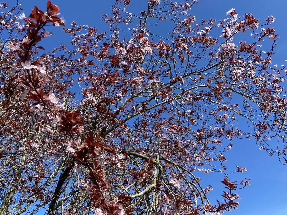 Anne Taylor tweet media