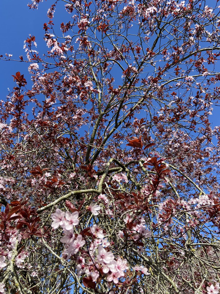 Anne Taylor tweet media