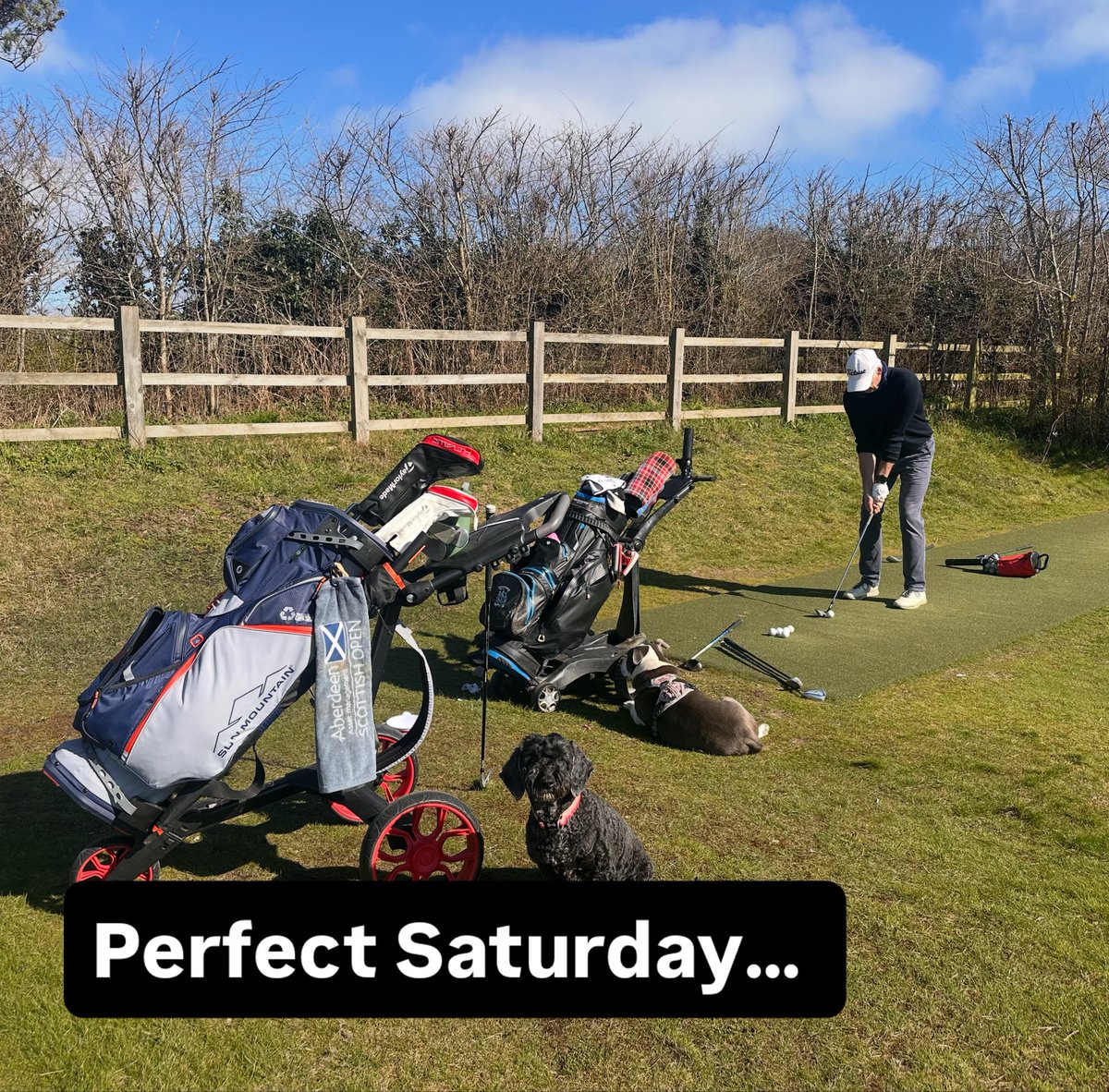 Georgie Bingham tweet media