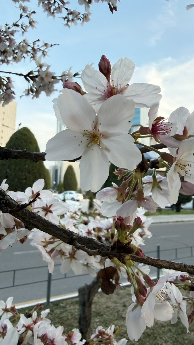 Nadеzhda tweet media