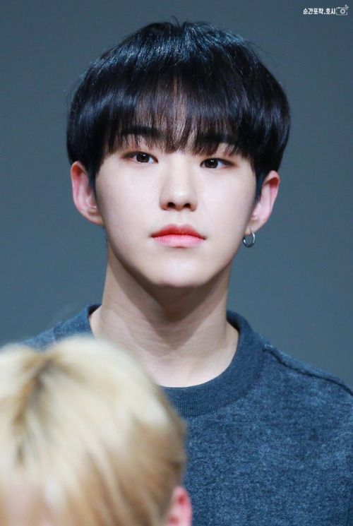 hourly hoshi tweet media