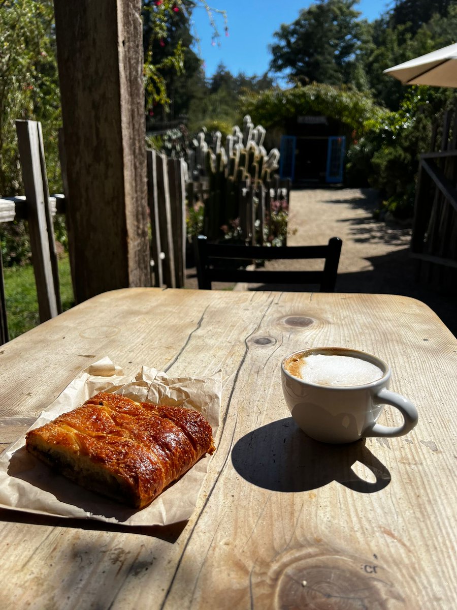 Andrew Nicoll Ω tweet media