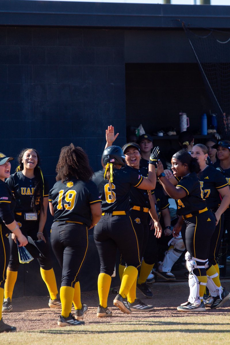 Lady Lion Softball 🦁 tweet media