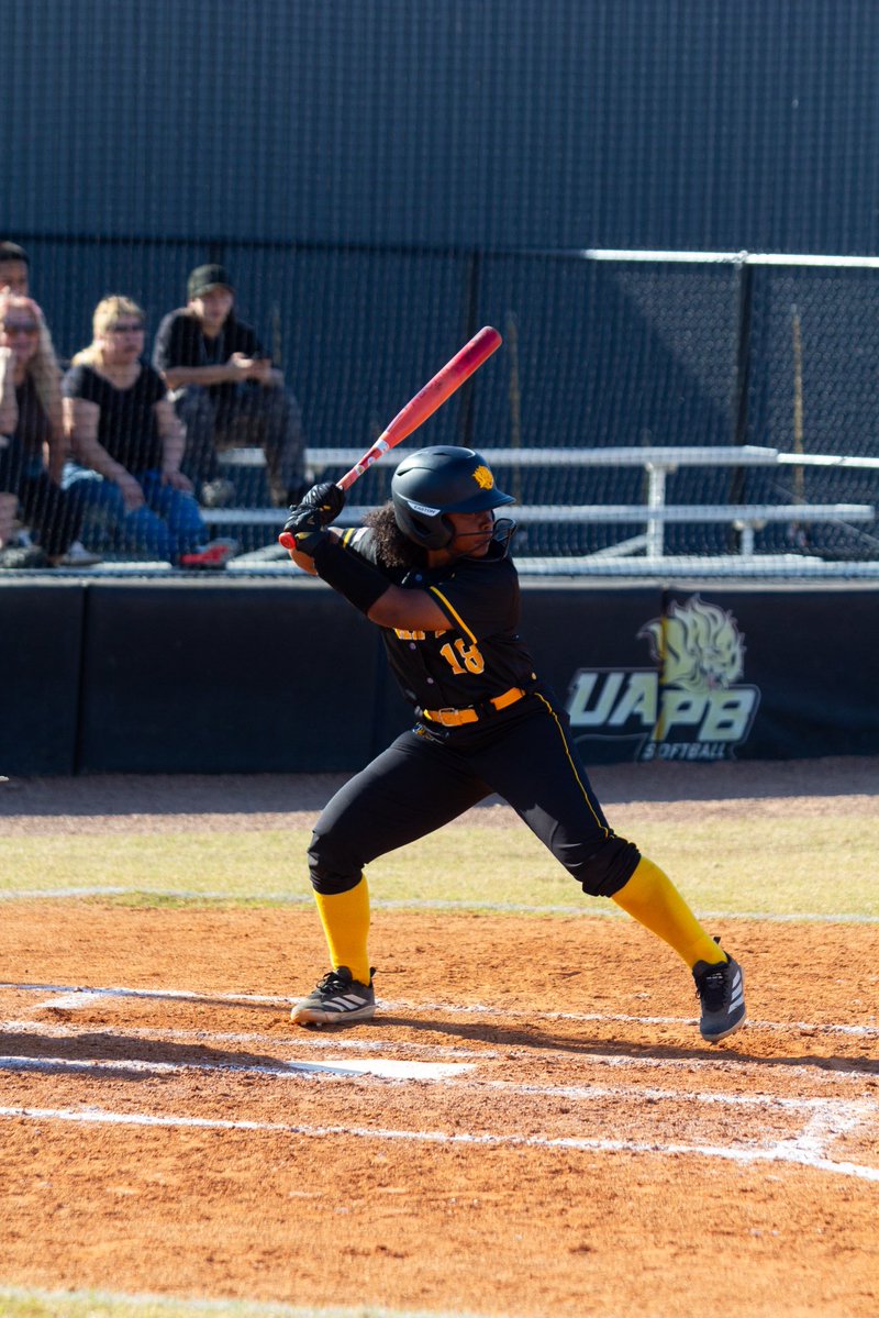 Lady Lion Softball 🦁 tweet media