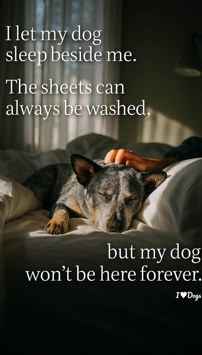 Catherine tweet media