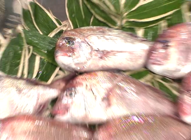 ironchefbot tweet media