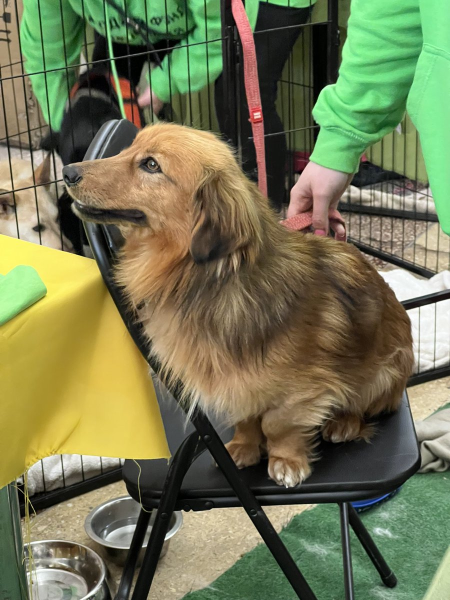 хтось нас за шось наказує tweet media