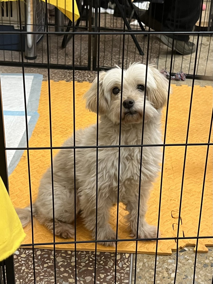 хтось нас за шось наказує tweet media