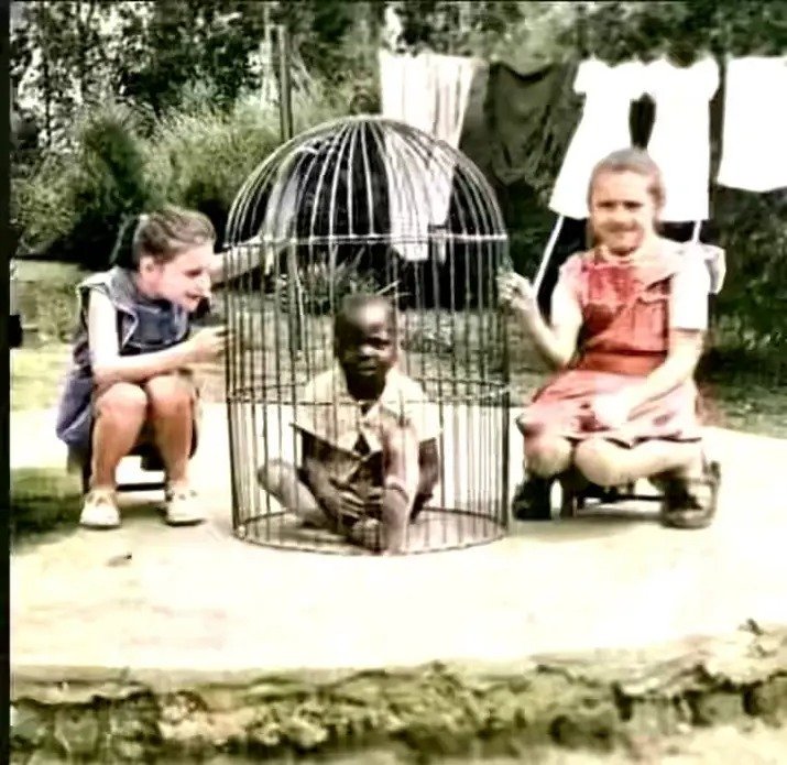 Hi ha subnormals que encara no han canviat de segle.