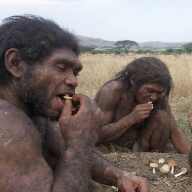 Kekius Maximus tweet media