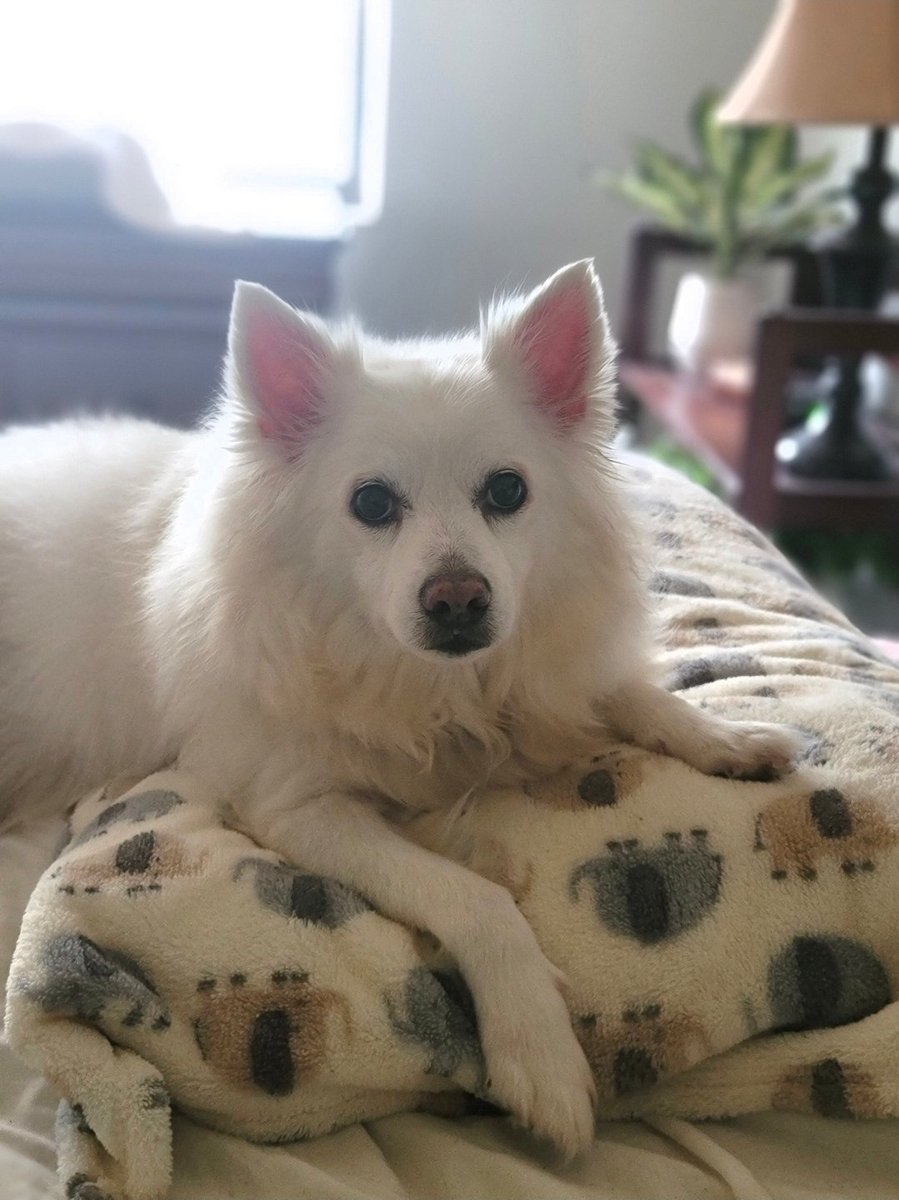 DJ~I STAND W/DJT 🇺🇲 🦅 🐸 🤌 tweet media