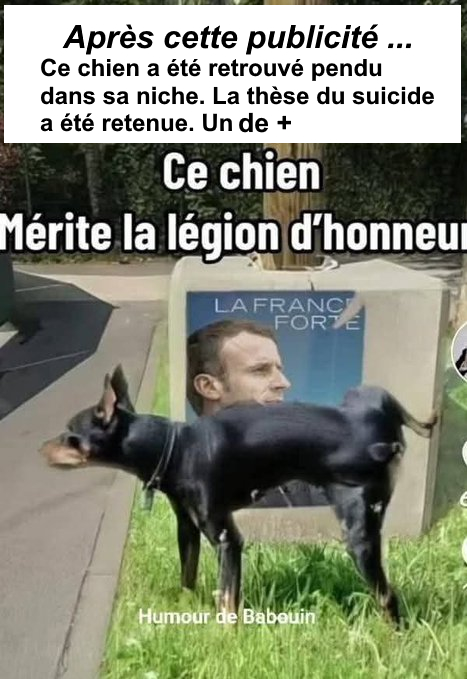 LeNidAigle4 ( info/intox avec humour... Quoique ) tweet media