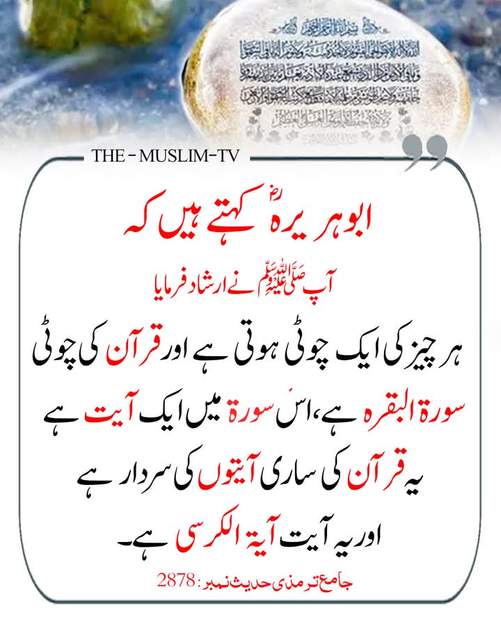 رسول اللہ ﷺ نے فرمایا 🌼💙🌿