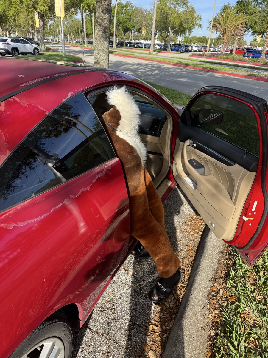 Nightfrost 🔜 FWA tweet media