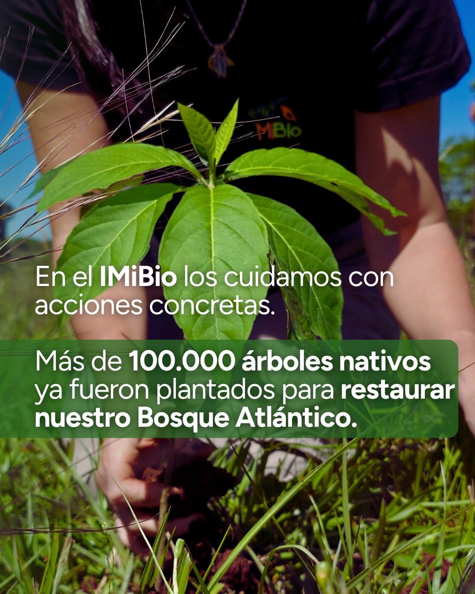 Instituto Misionero de Biodiversidad tweet media