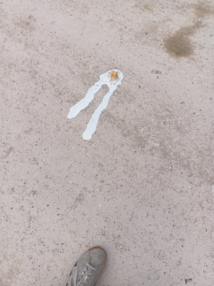 travertine memories tweet media