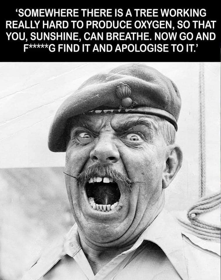 Iron Baws McGinty tweet media