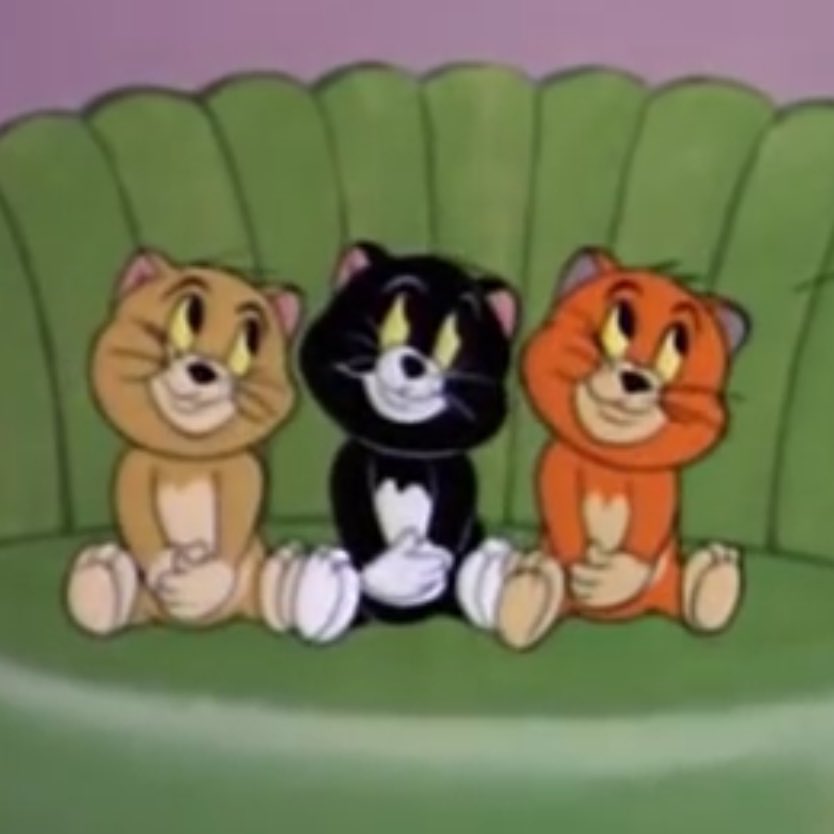 franzi 🪼 tweet media