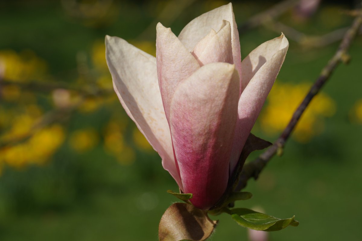 Billy Lyons tweet media