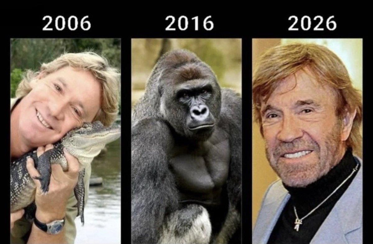 ⱤɆ₳Ⱡ ฿Ɇ₦ tweet media