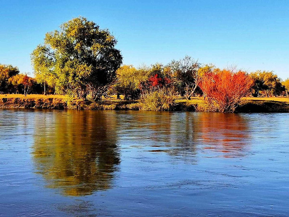 chinzo_teacherJET tweet media