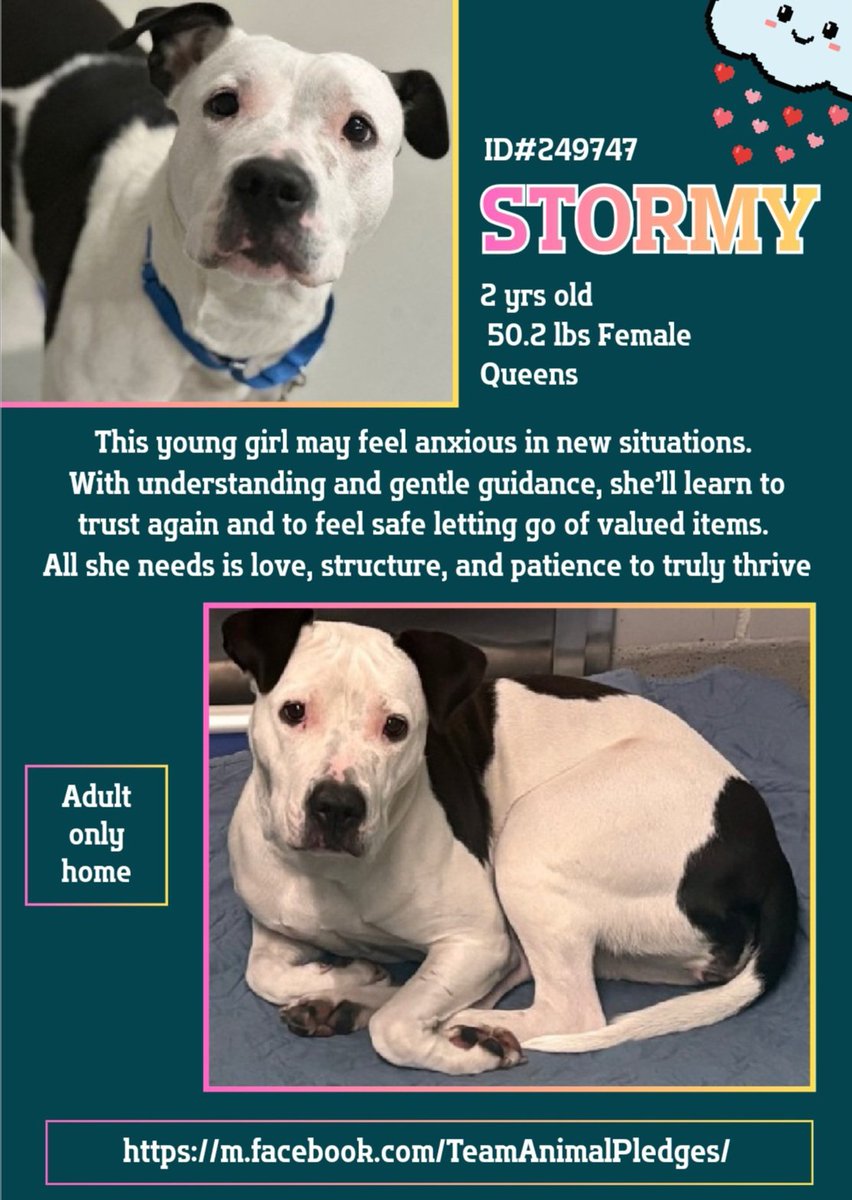 Char Bolen tweet media