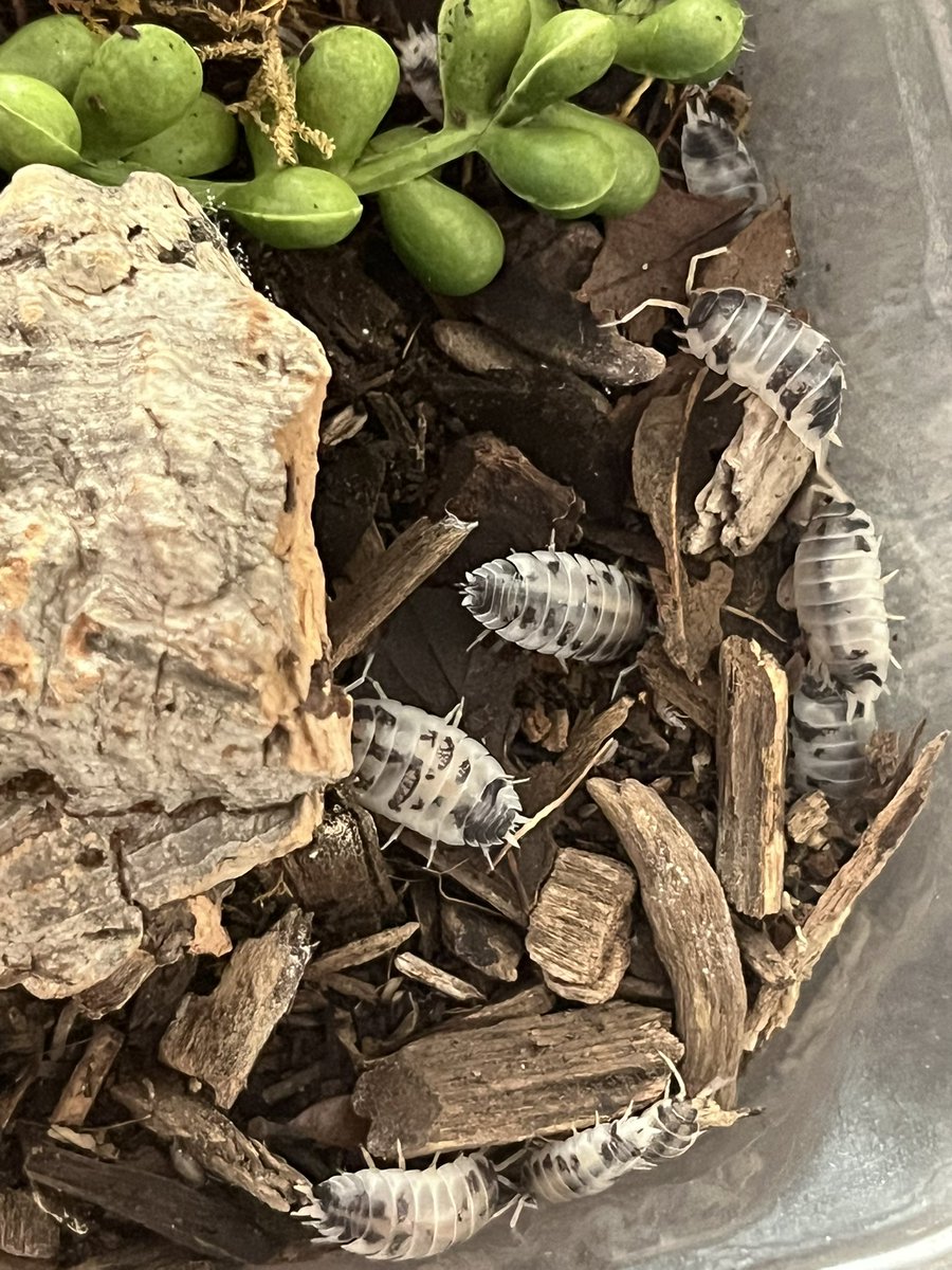 may 𖢂 tweet media