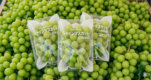 陽翠農園｜マスカット【公式】 tweet media