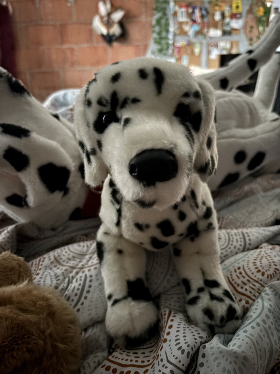 𝓜𝓲𝓶𝓲 𝓞𝓭𝓭𝓫𝓪𝓵𝓵 tweet media