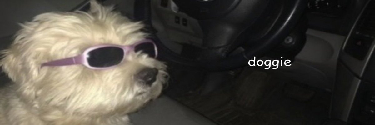 doggie (@thedoggiesol) / Posts / X