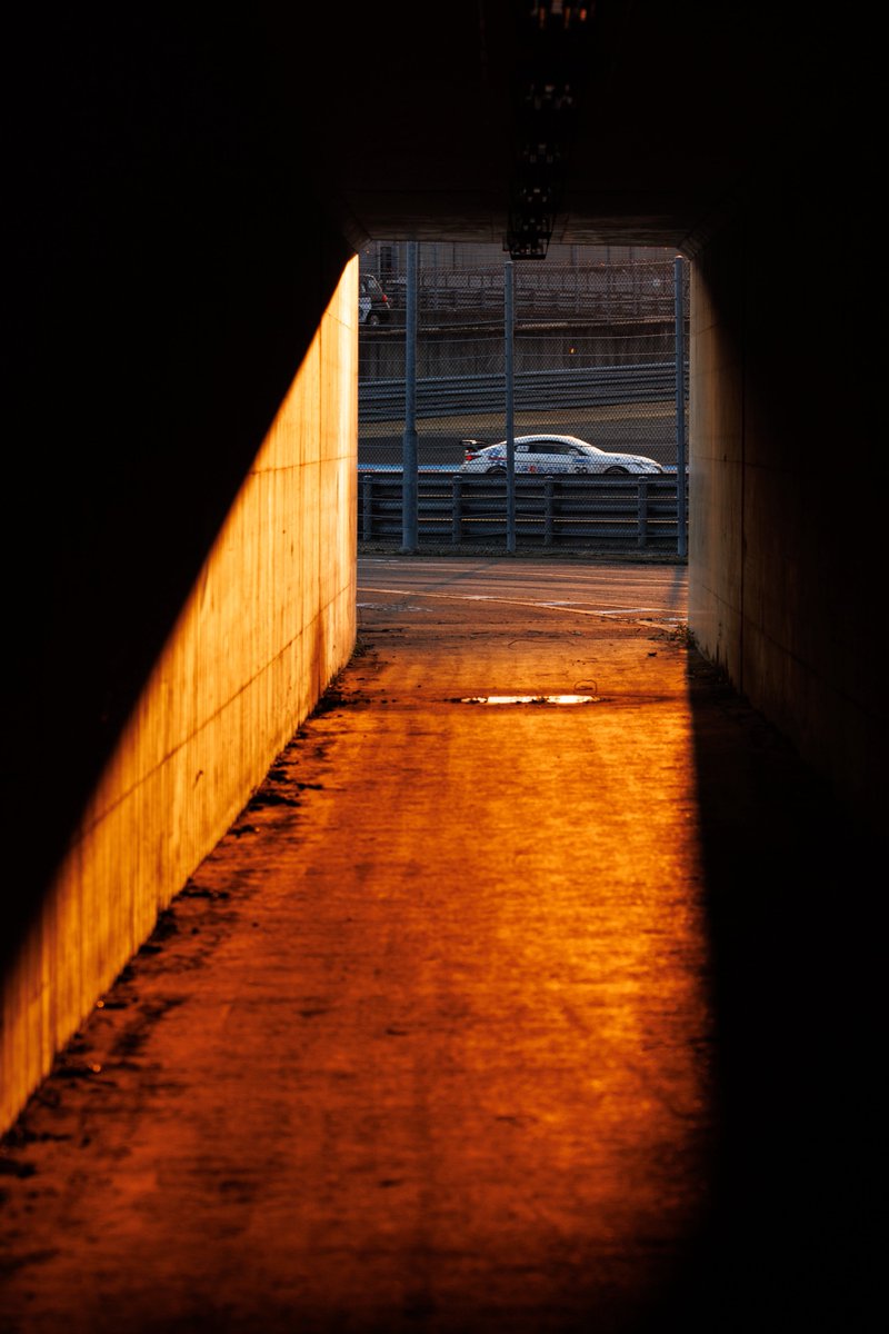 ようくん tweet media